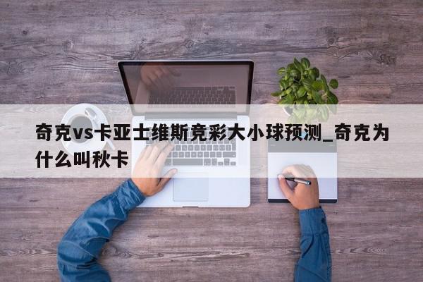 奇克vs卡亚士维斯竞彩大小球预测_奇克为什么叫秋卡