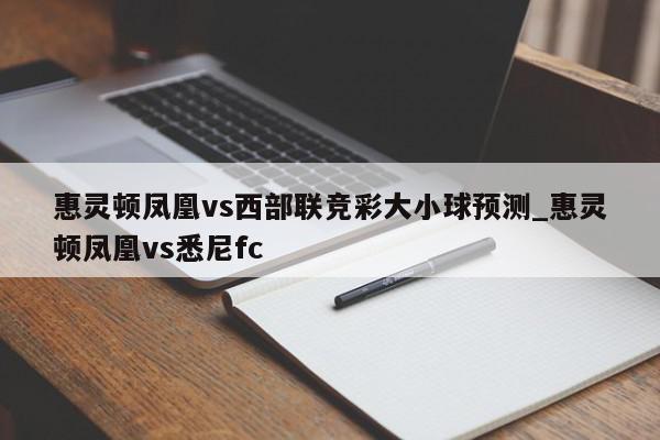 惠灵顿凤凰vs西部联竞彩大小球预测_惠灵顿凤凰vs悉尼fc