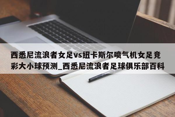 西悉尼流浪者女足vs纽卡斯尔喷气机女足竞彩大小球预测_西悉尼流浪者足球俱乐部百科