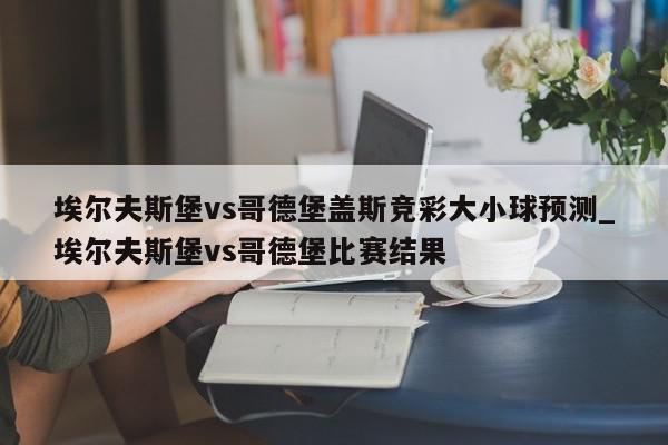 埃尔夫斯堡vs哥德堡盖斯竞彩大小球预测_埃尔夫斯堡vs哥德堡比赛结果