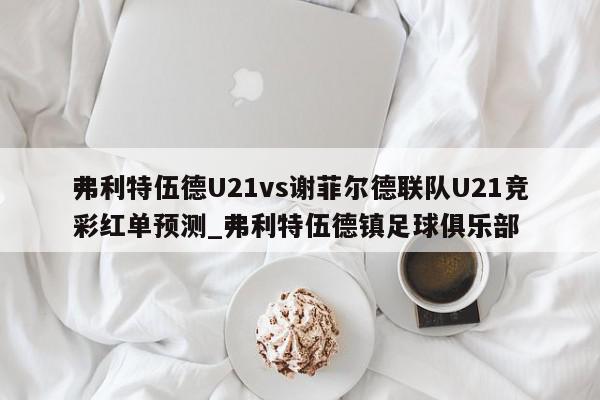 弗利特伍德U21vs谢菲尔德联队U21竞彩红单预测_弗利特伍德镇足球俱乐部