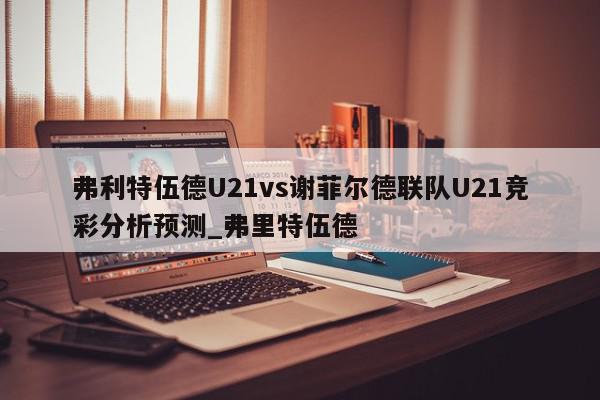 弗利特伍德U21vs谢菲尔德联队U21竞彩分析预测_弗里特伍德