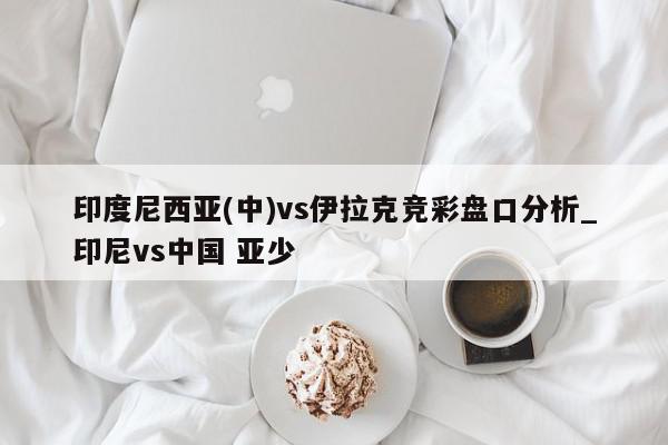 印度尼西亚(中)vs伊拉克竞彩盘口分析_印尼vs中国 亚少