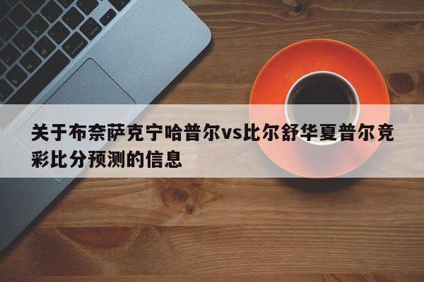 关于布奈萨克宁哈普尔vs比尔舒华夏普尔竞彩比分预测的信息